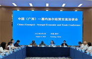 中国（广西）—塞内加尔经贸交流洽谈会成功举办